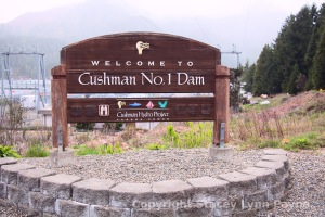 Cushman Dam